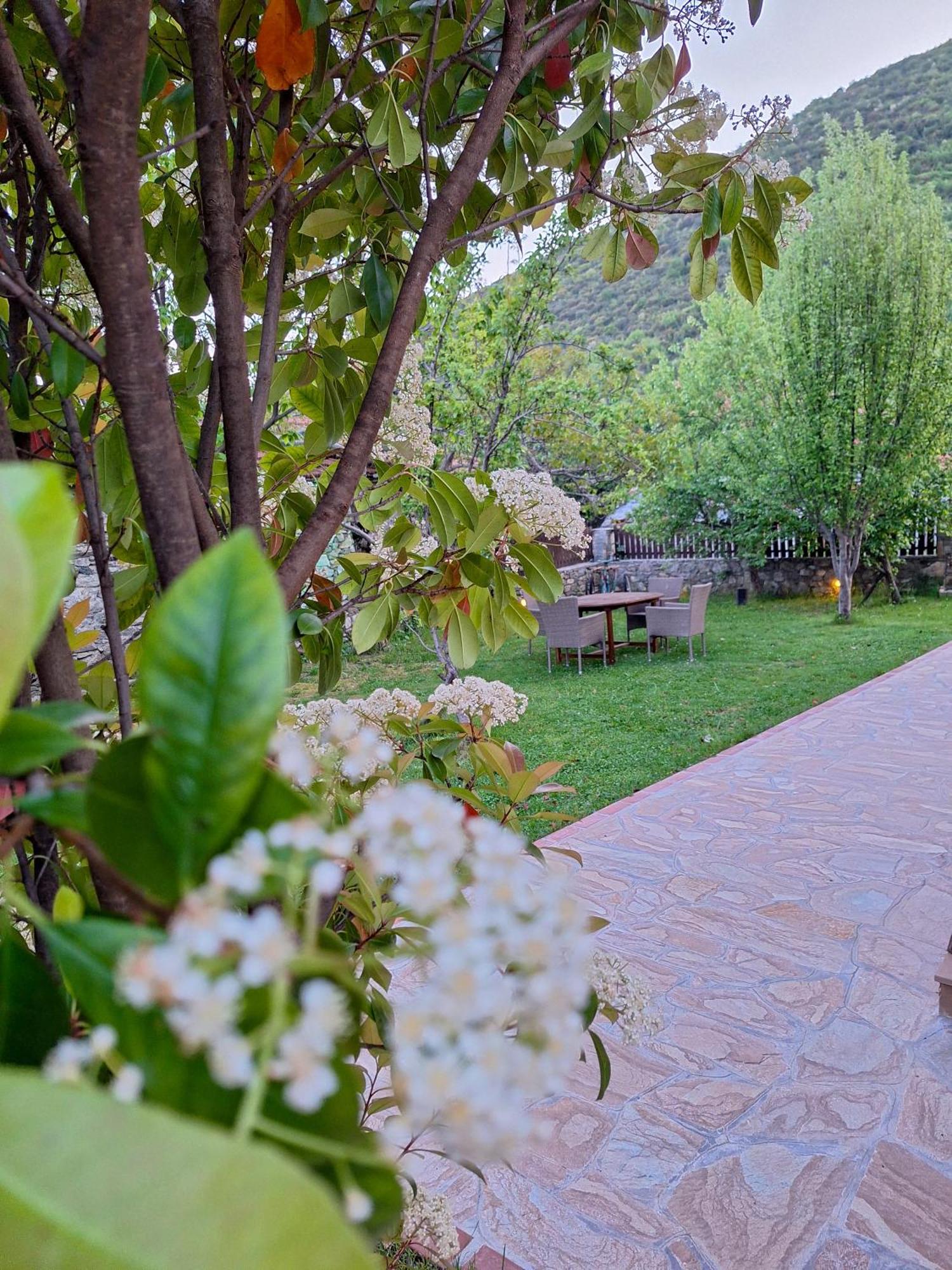 Country House On Mount Olympus Karia  المظهر الخارجي الصورة