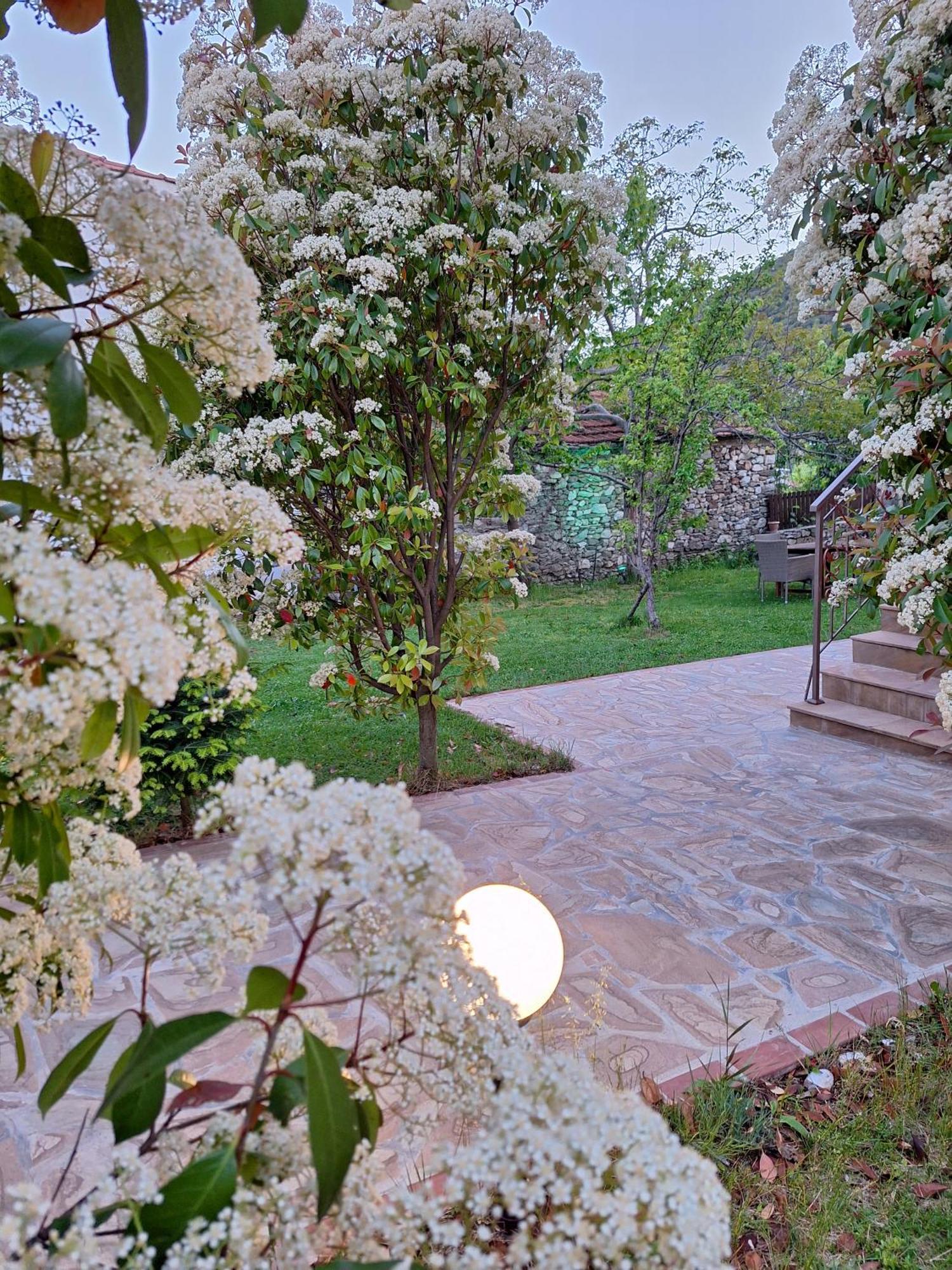 Country House On Mount Olympus Karia  المظهر الخارجي الصورة